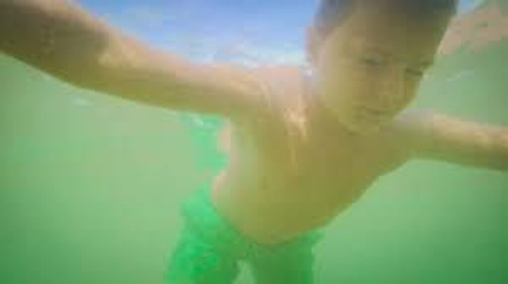 Lenno The Angelfish