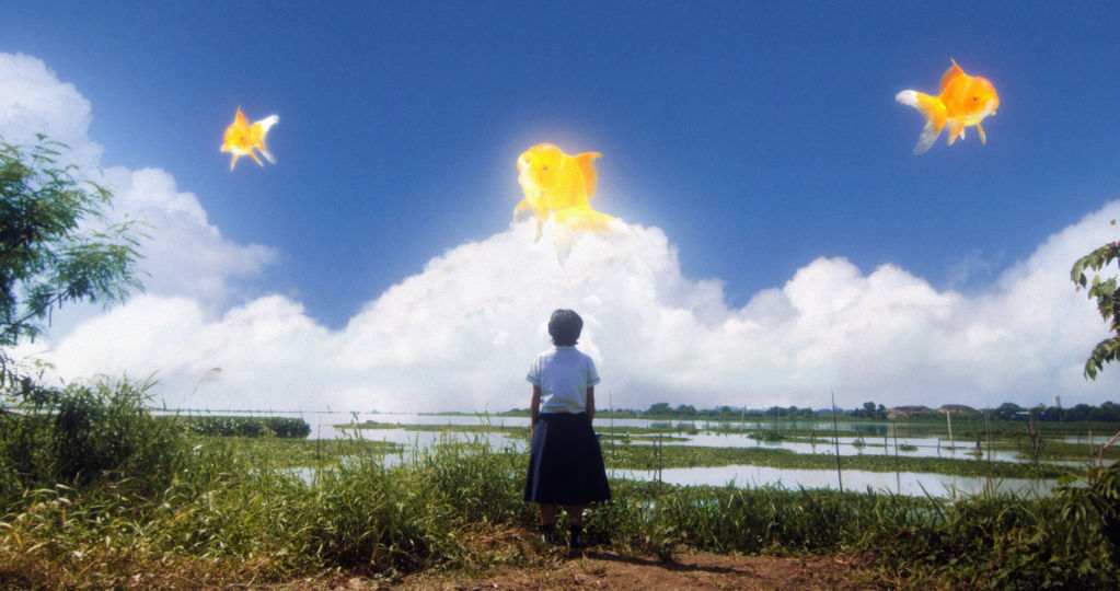 HITO primary Still 01