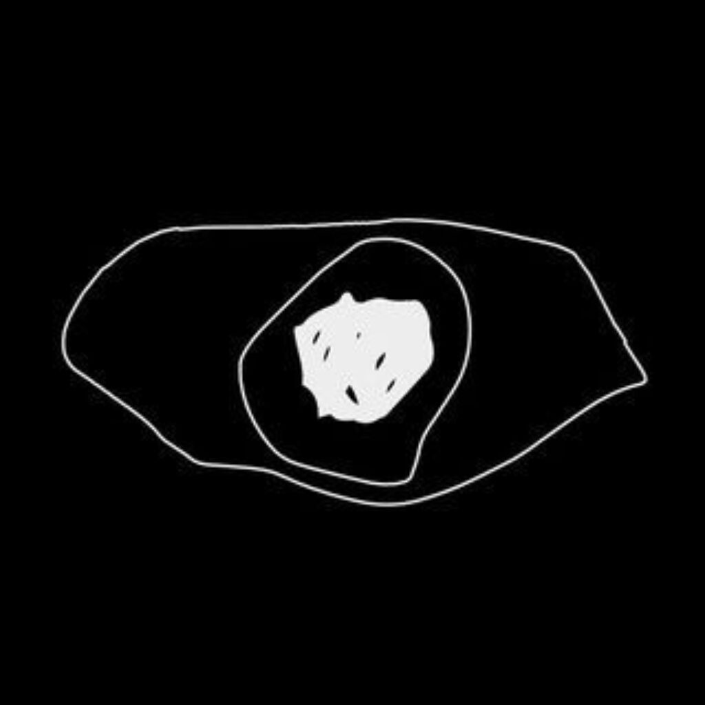 Lsff logo
