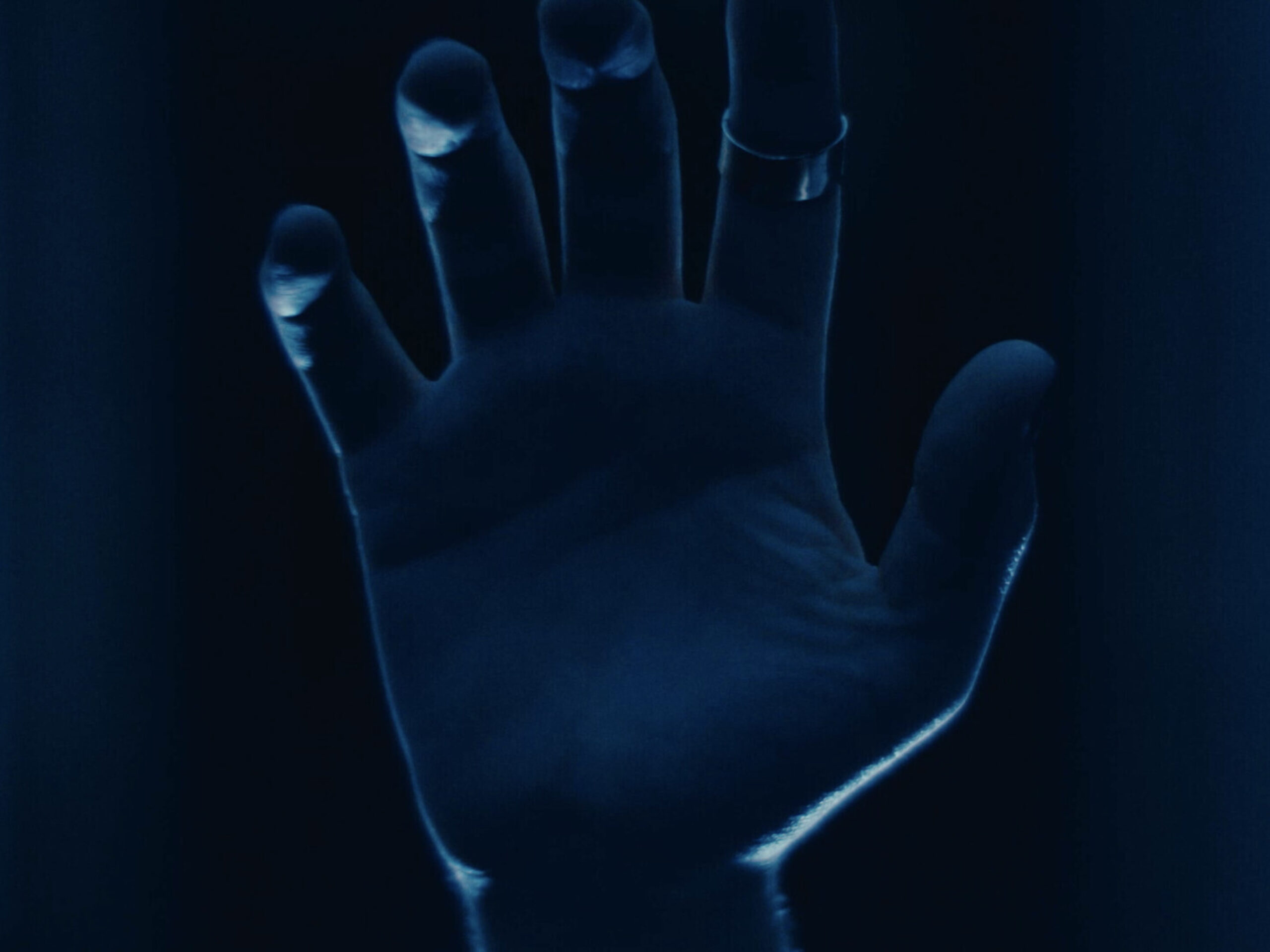 Personae primary Still 01