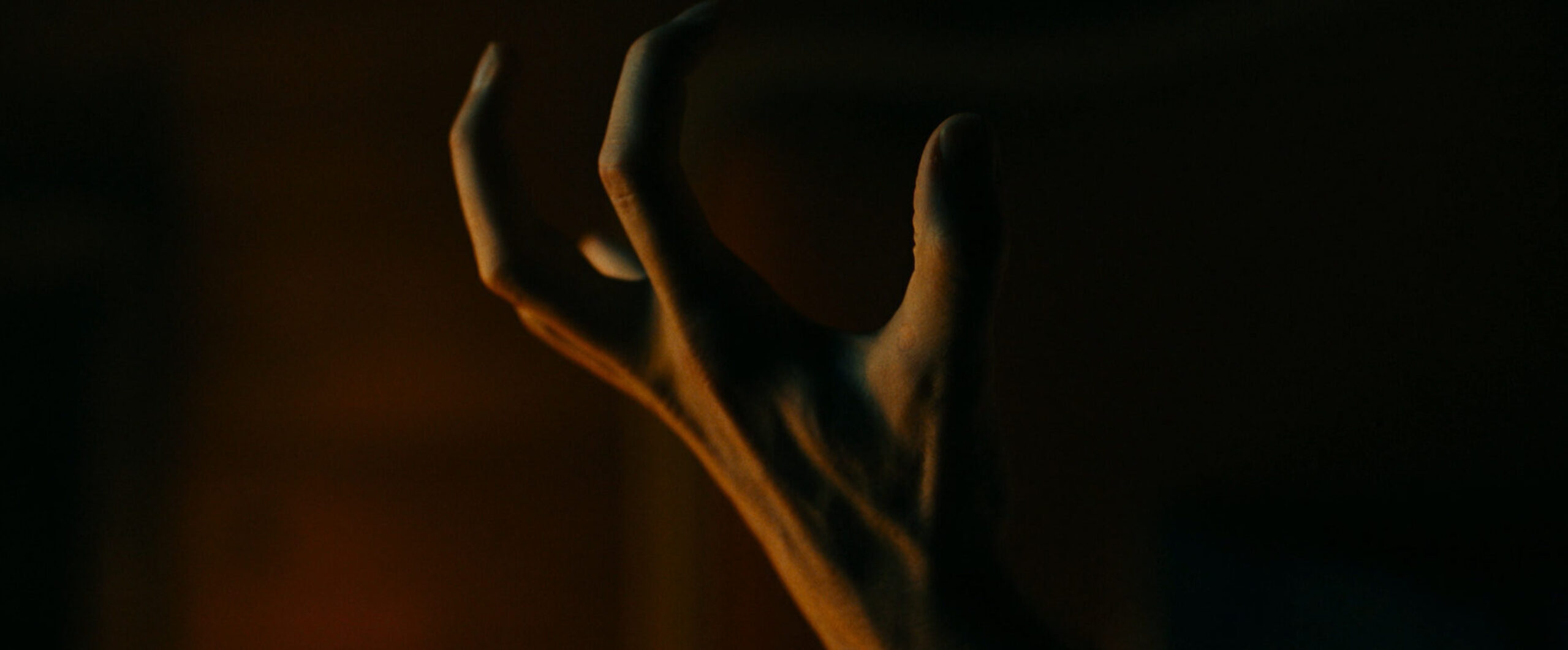 Meantime still 02